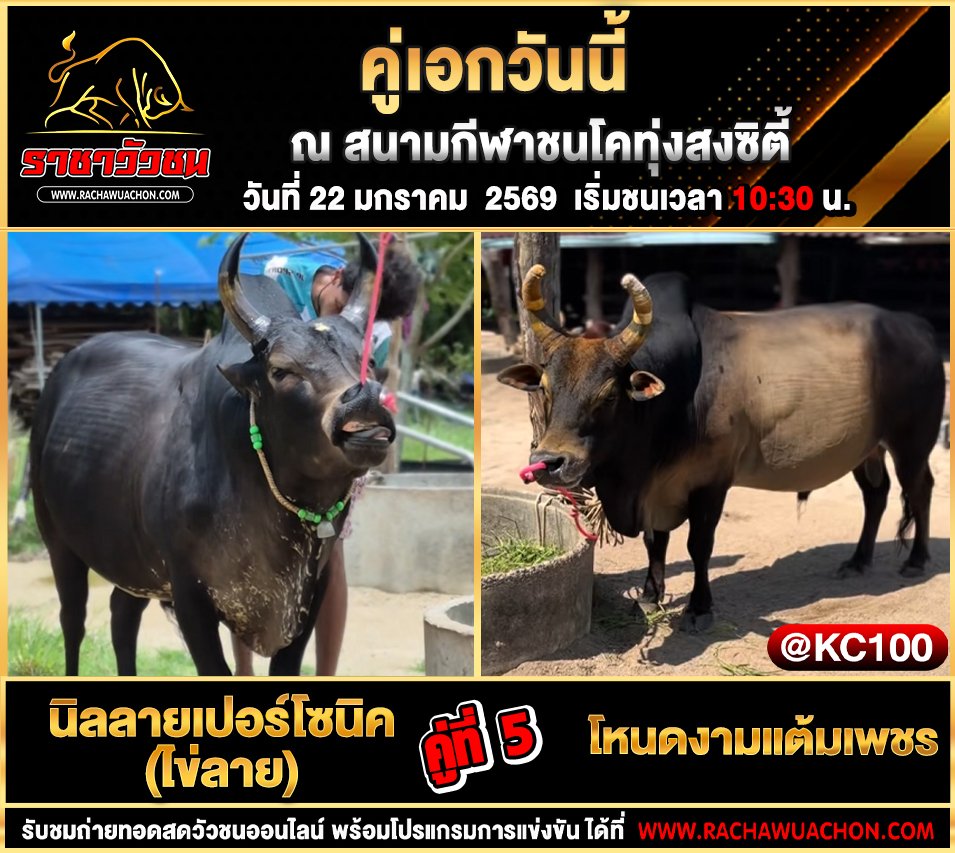 โปรแกรมวัวชนพรุ่งนี้ 22-1-2569