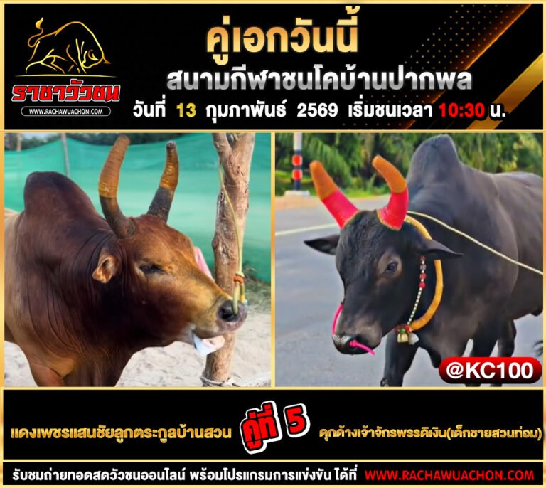 โปรแกรมวัวชนวันนี้ 13-2-2569