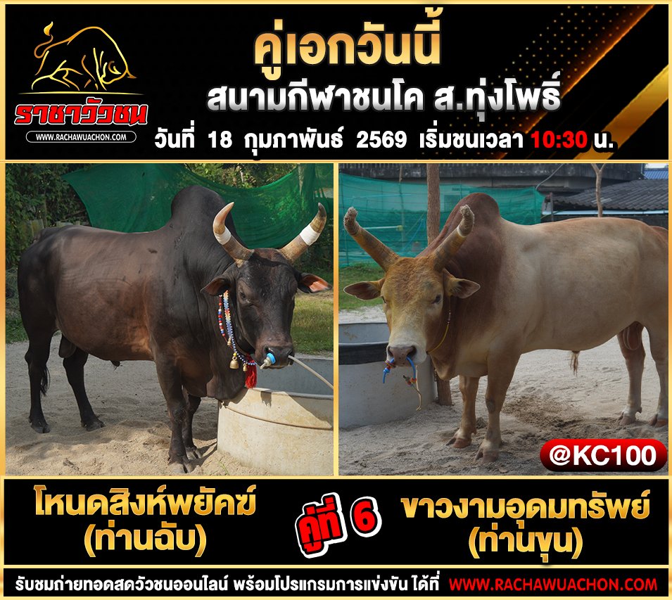 โปรแกรมวัวชนพรุ่งนี้ 18-2-2569