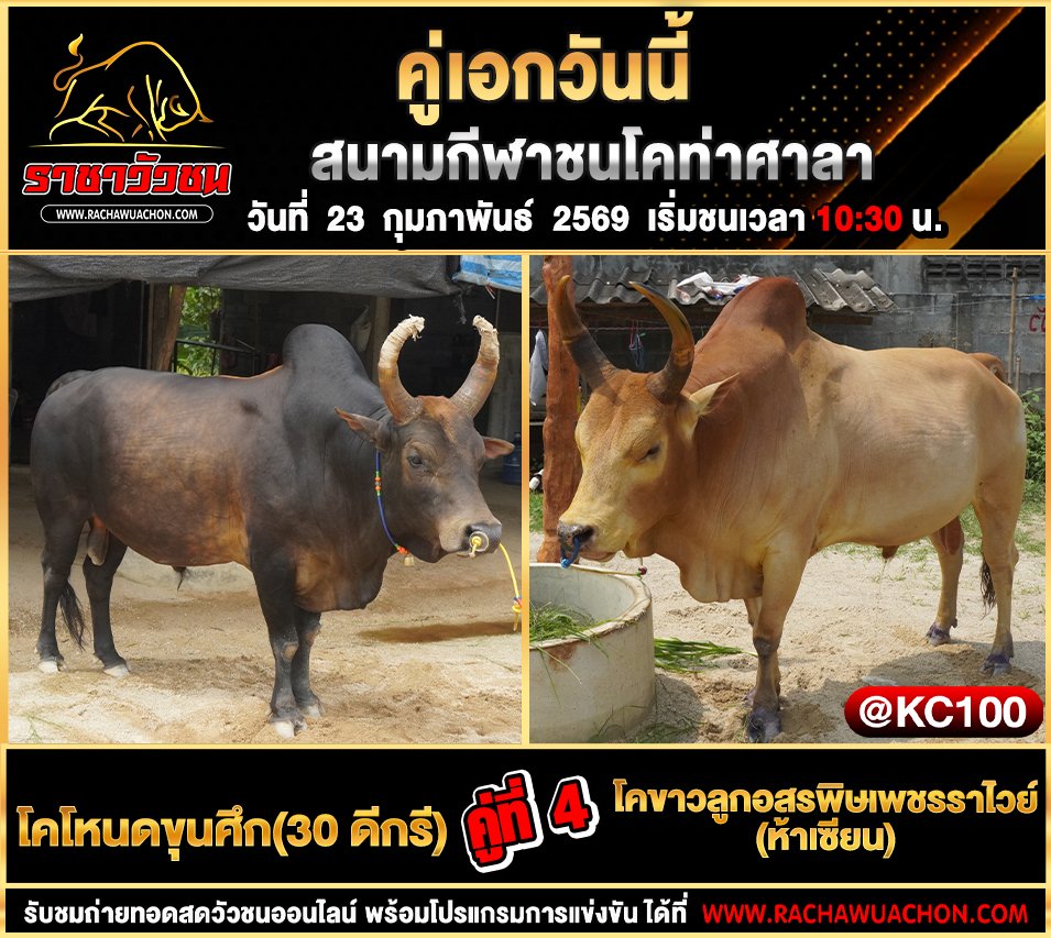 โปรแกรมวัวชนพรุ่งนี้ 23-2-2569