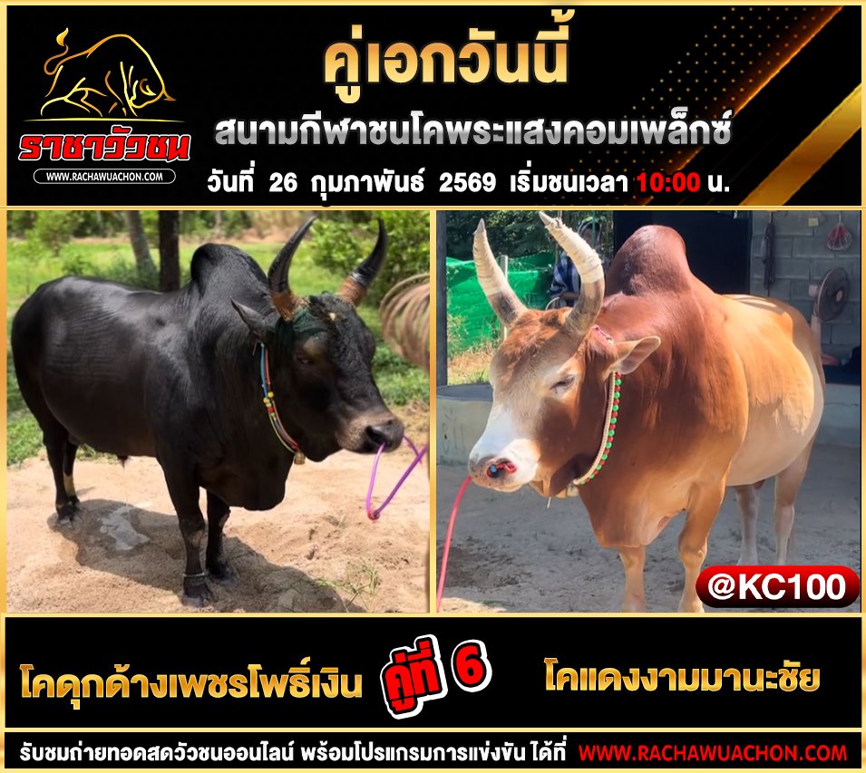 โปรแกรมวัวชนวันนี้ 26-2-2569