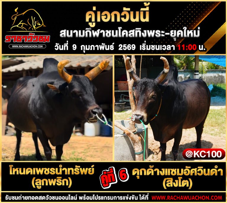 โปรแกรมวัวชนวันนี้ 9-2-2569