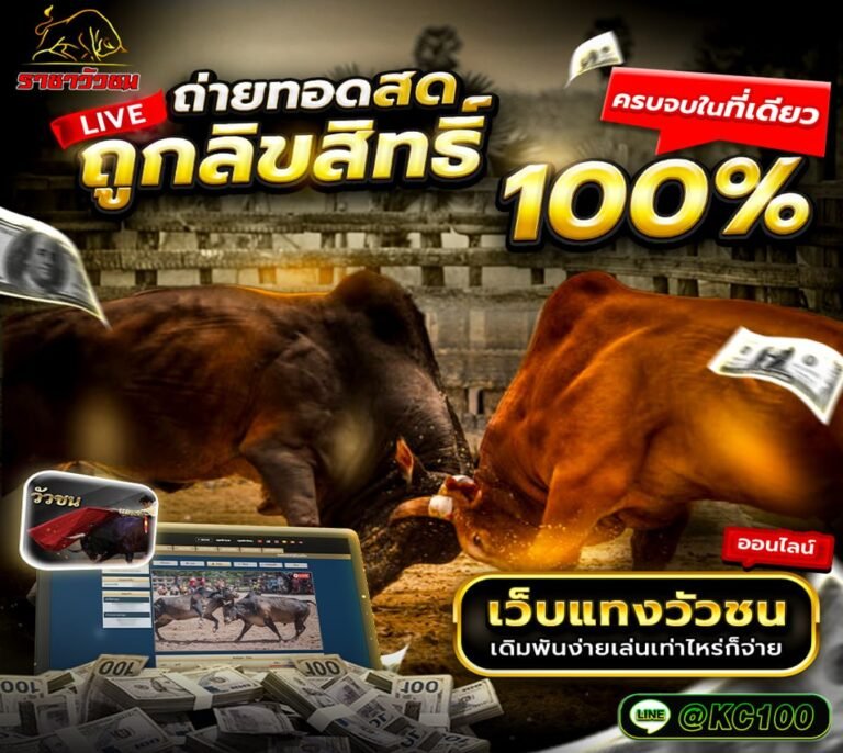 วัวชนวันนี้ 16-3-2569