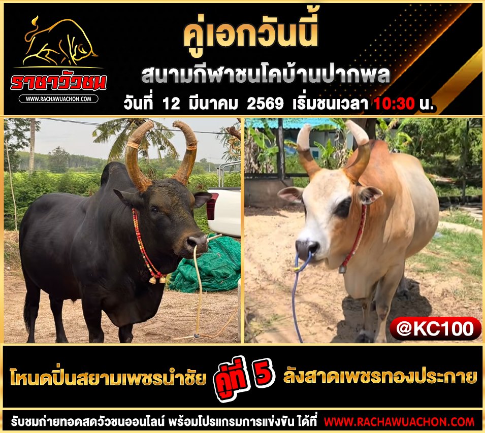 โปรแกรมวัวชนพรุ่งนี้ 12-3-2569