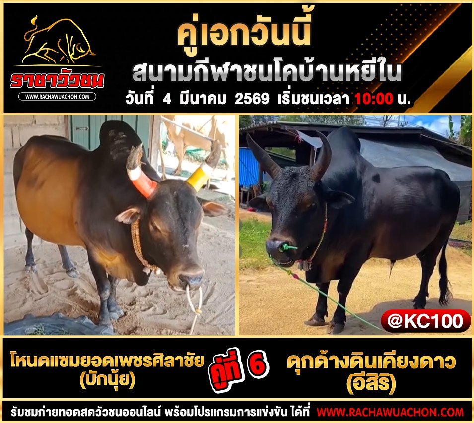 โปรแกรมวัวชนพรุ่งนี้ 4-3-2569