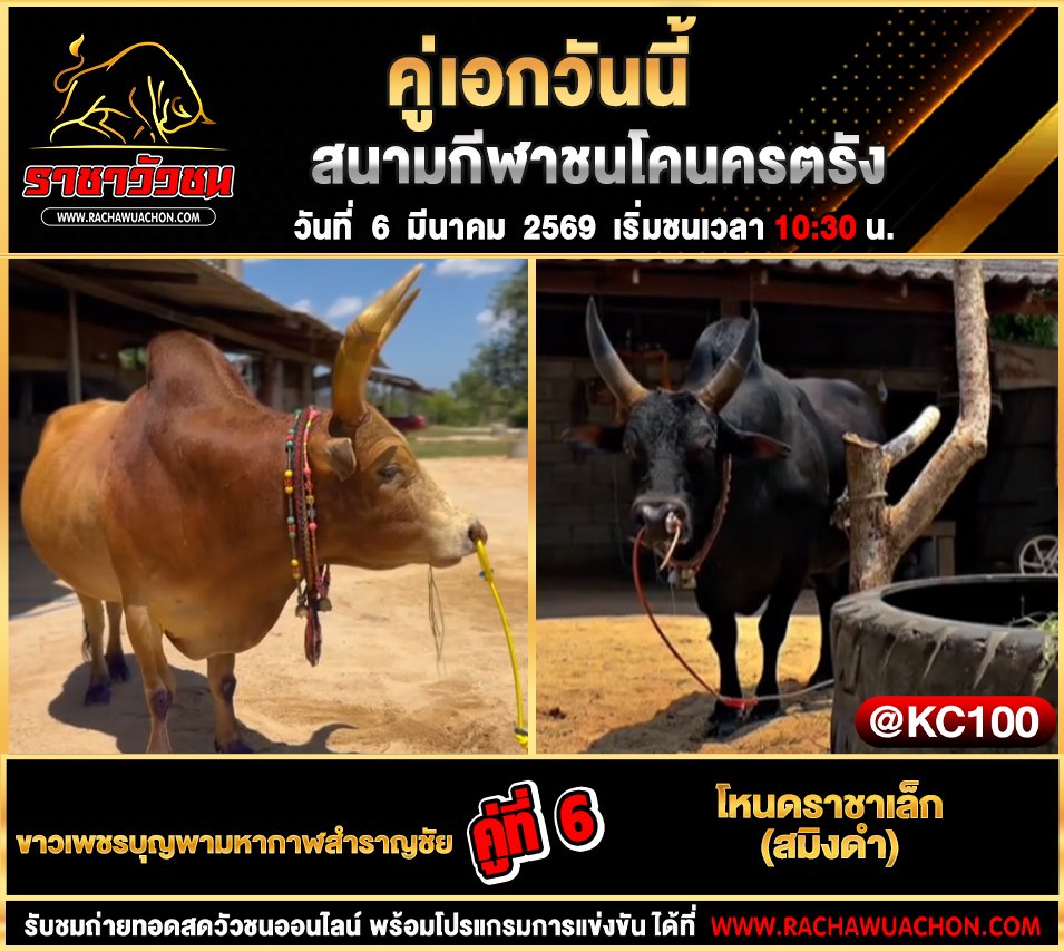 โปรแกรมวัวชนพรุ่งนี้ 6-3-2569